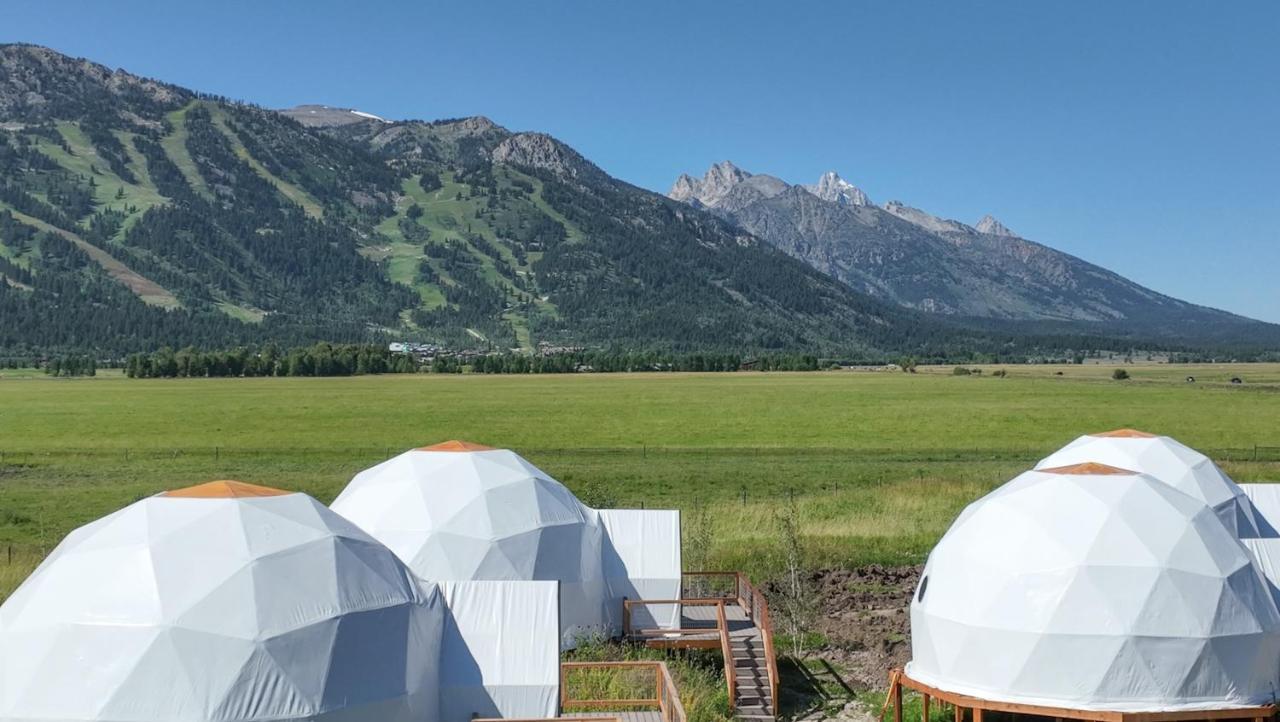 فندق Tammah Jackson Hole ويلسون المظهر الخارجي الصورة